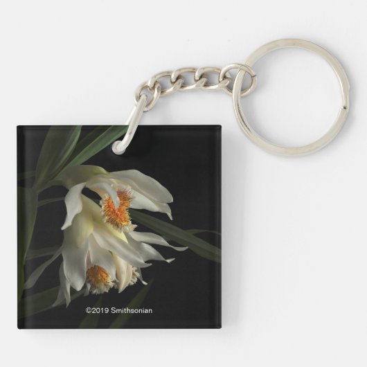 Thunia Marshalliana Schlüsselanhänger (Rückseite)