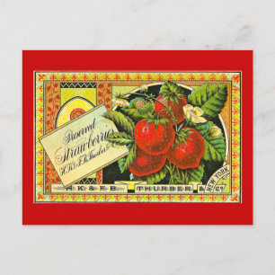 Thurber Erdbeeren Vintage-Kistenetikett Vintage Postkarte