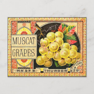 Thurber Muscat-Trauben - Etikett einer Vintage-Kis Postkarte
