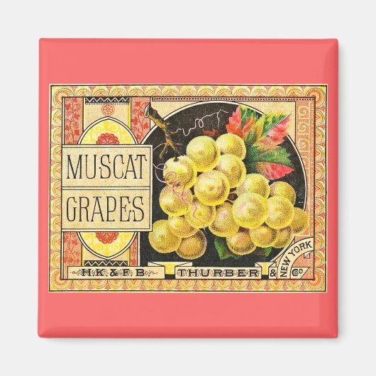 Thurber Muscat Trauben - Vintages Kratetikett Magnet (Vorne)