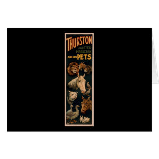 Thurston Vorlagenmagier und seine Haustiere