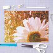 Thy-Fields-Themenpapier Seidenpapier (Handwerk)