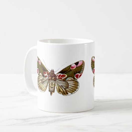 Thyatira batis - The Peach Blossom Moth Kaffeetasse (Vorderseite Links)