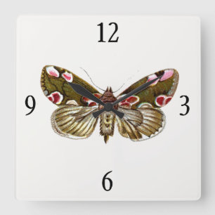 Thyatira batis - The Peach Blossom Moth Quadratische Wanduhr