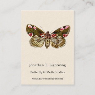 Thyatira batis - The Peach Blossom Moth Visitenkarte