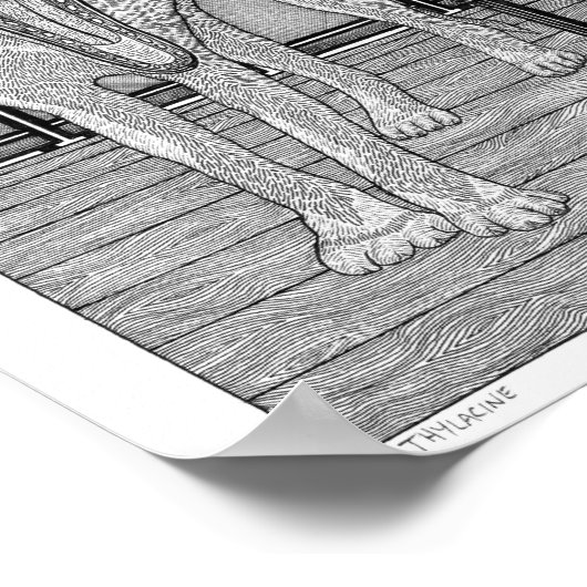 Thylacin Poster (Ecke)