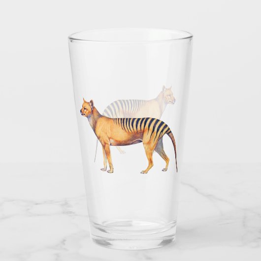 Thylacin (Tasmanischer Tiger) Glas (Rückseite)