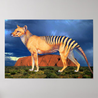 Thylacin (Tasmanischer Tiger) Poster