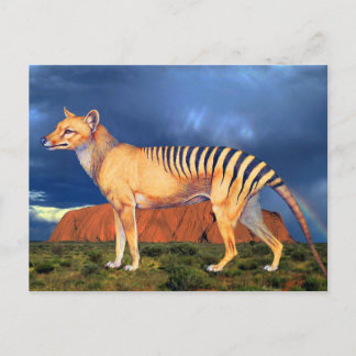 Thylacin (Tasmanischer Tiger) Postkarte