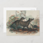 Thylacine von Joseph Wolf Postkarte (Vorne/Hinten)