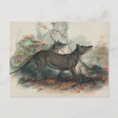 Thylacine von Joseph Wolf Postkarte (Vorderseite)