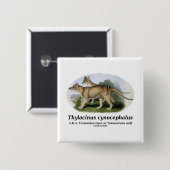 Thylacinus Cynocephalus (tasmanischer Tiger oder Button (Vorne & Hinten)