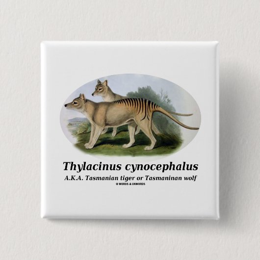 Thylacinus Cynocephalus (tasmanischer Tiger oder Button (Vorderseite)