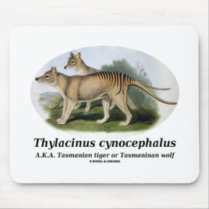 Thylacinus Cynocephalus (tasmanischer Tiger oder Mousepad