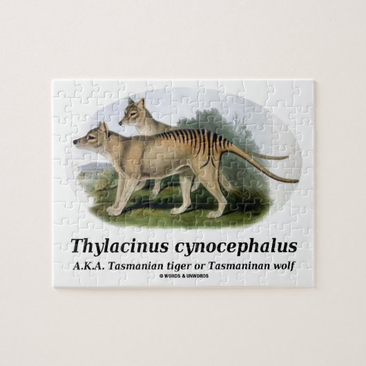 Thylacinus Cynocephalus (tasmanischer Tiger oder Puzzle (Horizontal)