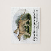 Thylacinus Cynocephalus (tasmanischer Tiger oder Puzzle (Vertikal)