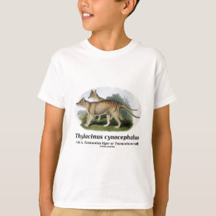 Thylacinus Cynocephalus (tasmanischer Tiger oder T-Shirt