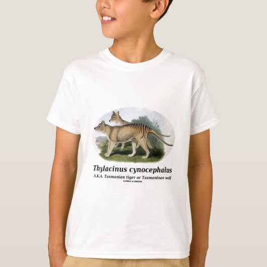 Thylacinus Cynocephalus (tasmanischer Tiger oder T-Shirt (Vorderseite)