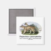Thylacinus cynocephalus (Tasmanischer Tiger oder W Magnet (Vorderseite/Rückseite)