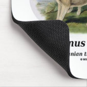 Thylacinus cynocephalus (Tasmanischer Tiger oder W Mousepad (Ecke)