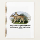Thylacinus cynocephalus (Tasmanischer Tiger oder W Planer (Vorderseite)