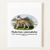 Thylacinus cynocephalus (Tasmanischer Tiger oder W Planer (Rückseite)