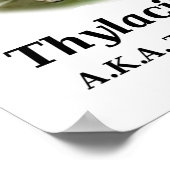 Thylacinus cynocephalus (Tasmanischer Tiger oder W Poster (Ecke)