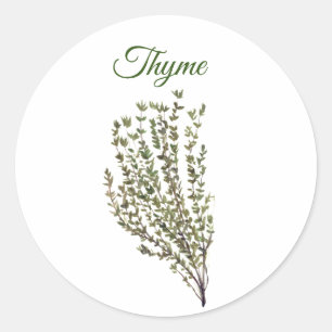 Thym-Kraut Grünzeug Küche Kulinarik Grüne Pflanze Runder Aufkleber