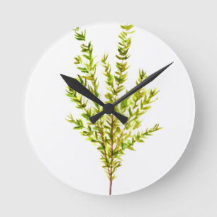 Thym-Kräuter Botanische Kräuter Runde Wanduhr