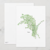 Thym-Zeichnung Einladung (Vorne/Hinten)