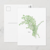 Thym Zeichnung Postkarte (Vorne/Hinten)