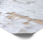 Thyme auf alten Holztisch Poster (Ecke)
