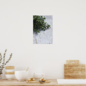 Thyme auf alten Holztisch Poster (Küche)