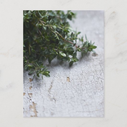 Thyme auf alten Holztisch Postkarte (Vorderseite)