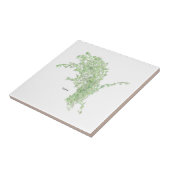 Thyme Drawing Fliese (Seite)
