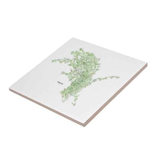 Thyme Drawing Fliese (Seite)