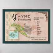 Thyme Herb Botanical Info Poster (Vorne)