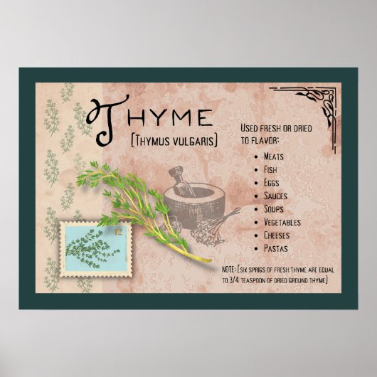 Thyme Herb Botanical Info Poster (Vorne)