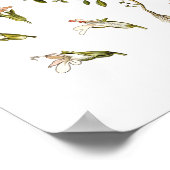 Thyme Herb botanische Illustration Kitchen Decke Poster (Ecke)