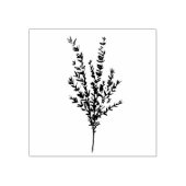 Thyme Herb Botanischer Garten Wasserfarben Gummistempel (Prägung)