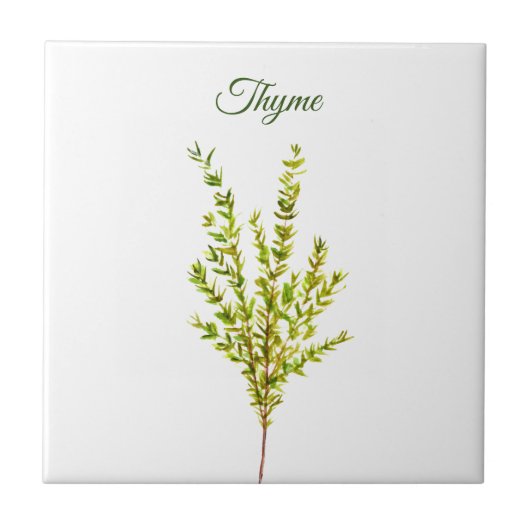 Thyme Herb Greenery Küche Kulinarisch Grüne Pflanz Fliese (Vorderseite)