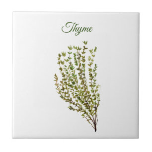 Thyme Herb Grüne Küche Kulinarisches Grüne Pflanze Fliese