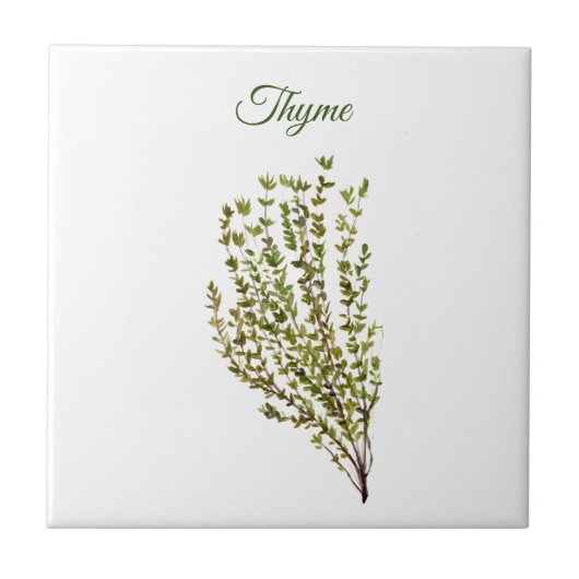 Thyme Herb Grüne Küche Kulinarisches Grüne Pflanze Fliese (Vorderseite)