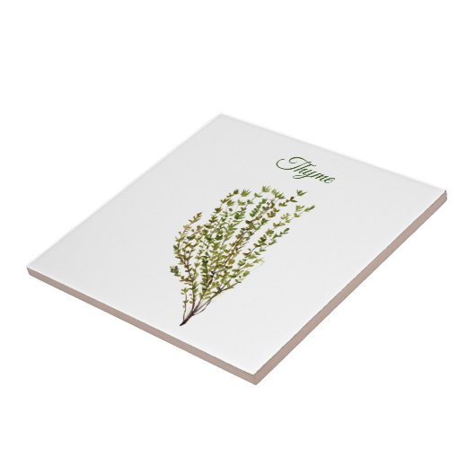 Thyme Herb Grüne Küche Kulinarisches Grüne Pflanze Fliese (Seite)