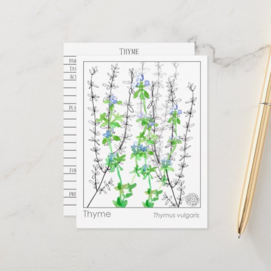 Thyme Herb Materia Medica Cards Kräuterstudie Postkarte (Vorderseite/Rückseite Beispiel)