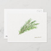 Thyme Kraut botanische Pflanze Aquarell Küche Postkarte (Vorne/Hinten)