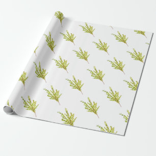 Thyme Kräuter Botanische Kräuterküche Geschenkpapier