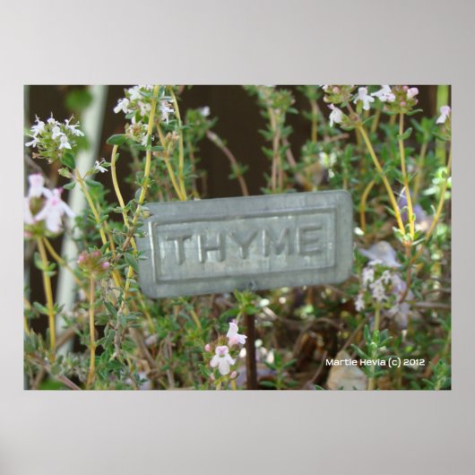 Thyme Poster (Vorne)