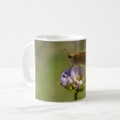 Thymelicus lineola kaffeetasse (Vorderseite Links)