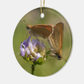 Thymelicus lineola keramikornament (Links)
